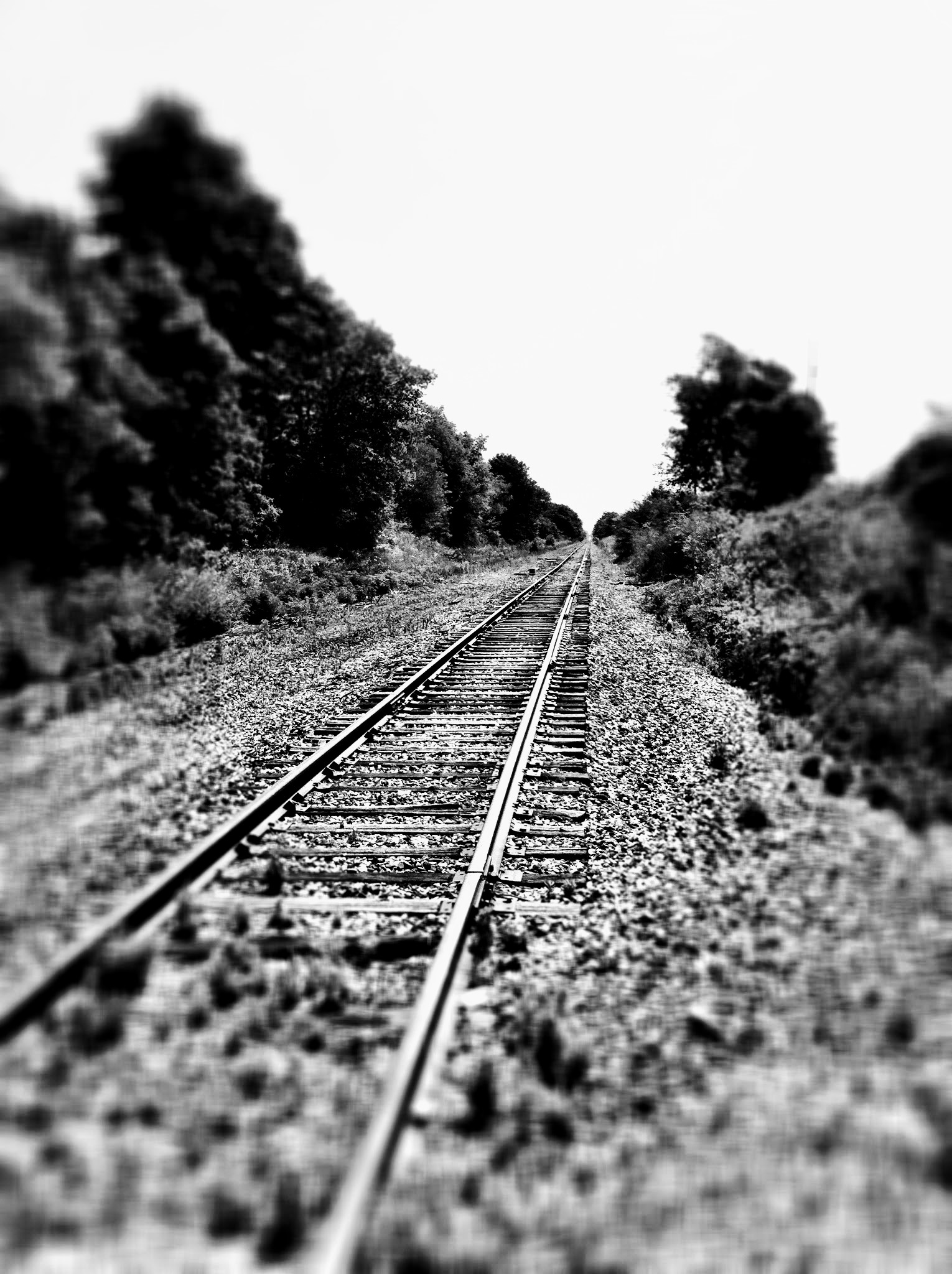 Tracks